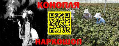 шишки Краснодар