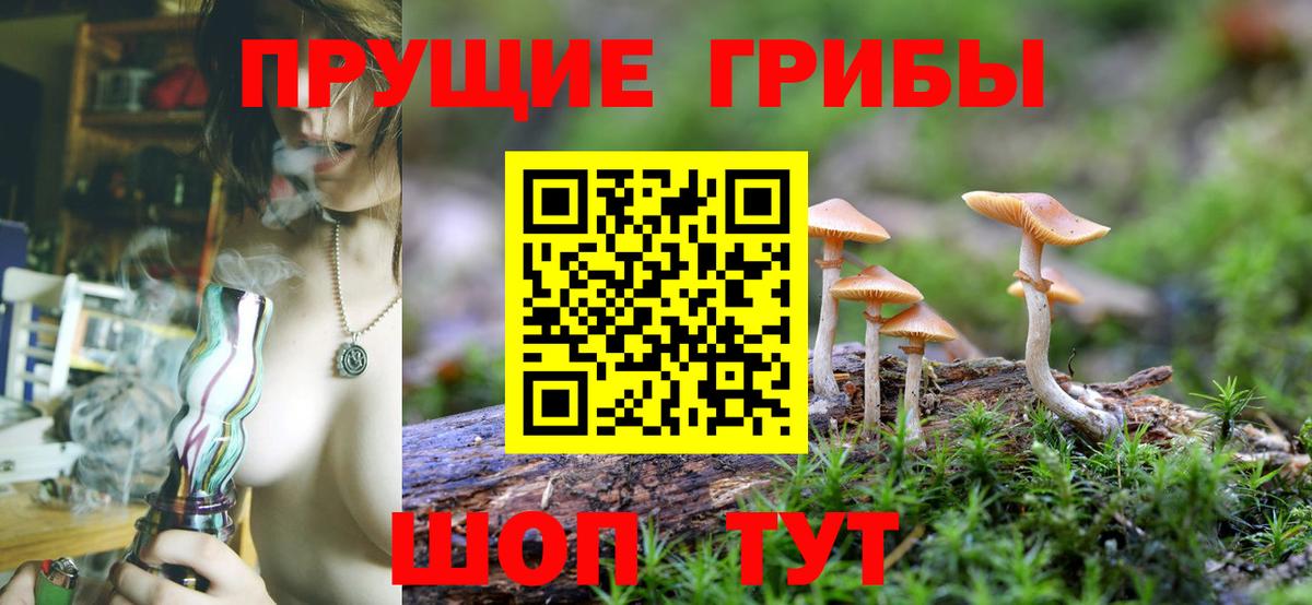 Псилоцибиновые грибы Cubensis  где продают   Усть-Джегута  Псилоцибиновые грибы ЛСД  Вход с VPN 